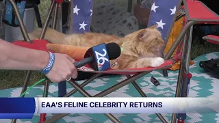 Delilah the stowaway cat is back at EAA AirVenture Oshkosh