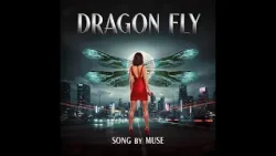 Dragon fly Dragon fly・D