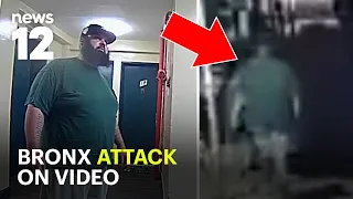 Suspect nabbed less than 24 hours after fatal Bronx stabbing