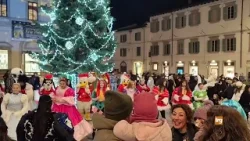 A Città di Castello scatta la gara di solidarietà per salvare gli abeti addobbati del centro storico