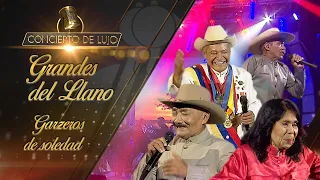 [Concierto de Lujo] – Los Grandes del Llano – Garzeros de Soledad
