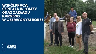 Inmates Help Hospital: Collaboration with Correctional Facility Supports Kisielnica Equestrian Ce...