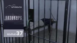 Գոյամարտ, Սերիա 37, Անոնս / Goyamart