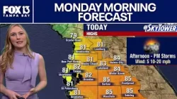 Погода в Тампе | Прогноз на утро понедельника