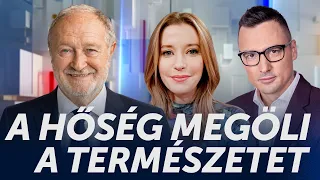 Megöli a hőség a természetet - HírTV