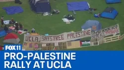 Pro-Palestine camp in protest at UCLA