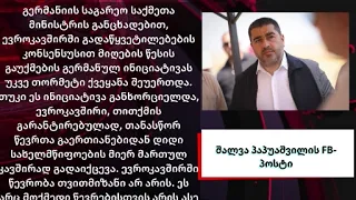 აპირებს თუ არა „ოცნება“ საბოლოოდ თქვას უარი ევროინტეგრაციაზე? - პაპუაშვილის განხადება