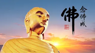淨空老法師｜念佛成佛｜真實之際、無為法身就是彌陀名號-第2042集