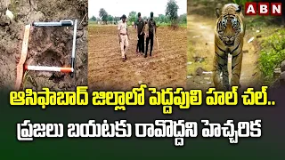 ఆసిఫాబాద్ జిల్లాలో పెద్దపులి హల్ చల్ .. ప్రజలు బయటకు రావొద్దని హెచ్చరిక | Tiger halchal In Asifabad