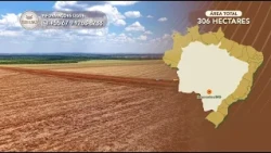 Terralmo 41: Farm for Sale in Dourados/MS