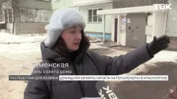 Домашняя овчарка напала на пенсионерку в Красноярске