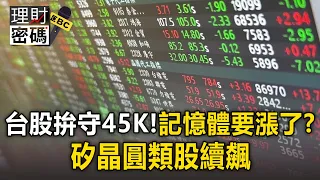 台股拚守45K！權值股撐腰？矽晶圓類股續飆 記憶體要漲了？【理財密碼】