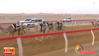 مهرجان العين لسباقات الهجن | 15 سبتمبر 2026