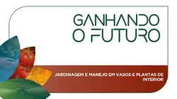 Jardinagem e manejo em vasos e plantas de interior