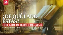 Readings and Homily - 10/09/2026 - Fr. Mark
