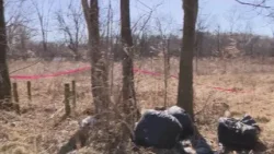 Garbage truck workers find body of woman shot to death on Far South Side