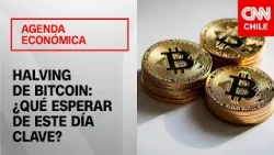 ¿Qué es el halving de bitcoin y cuál sería su impacto en el precio del dólar? | Agenda Económica