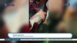 30 OKT 2026 - BTH - PESARA KKM MAUT, KERETA DIHANYUTKAN ARUS DERAS