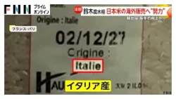 ヨーロッパで「日本米」ブーム！おにぎり専門店が続々登場…鈴木農水相も現地で販売拡大アピール