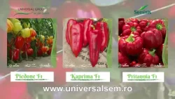 Agricultura la Raport Ovidiu Ghinea P1 12 03 2026