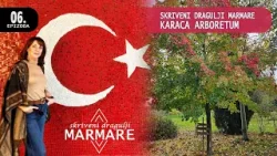 Karaca Arboretum: Zeleni dragulj regije | Skriveni dragulji Marmare