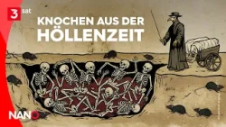 Krasser Fund: Pest-Massengrab in Erfurt | NANO