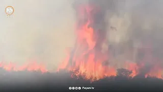 ئاگرەکەى جەزائیر ڕووبەرێکى فراوانى سووتاندووە و تائێستا كۆنترۆڵ نەكراوە