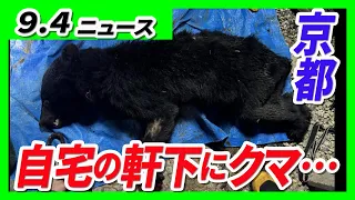 「さっと見た時は犬か猫かと思った」2頭のクマを緊急銃猟するも…もう1頭が近くに出没か／交際相手だった女性を刺殺…男に拘禁刑17年の判決【9/4最新ニュース】