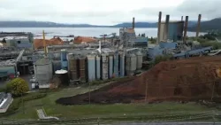 Rob Shaw: BC forest sector must dramatically transform to survive, says new report