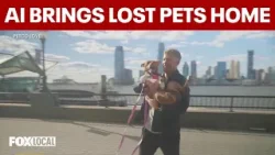 How AI facial recognition is helping bring lost pets back home