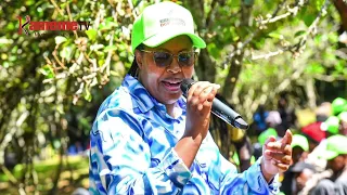 IEBC kwerekera mumbunge Wanjiku Muhia
