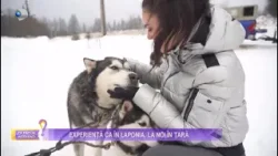 Ce faci in weekend? – Experienta ca in Laponia, la noi in tara! | Stirile Kanal D