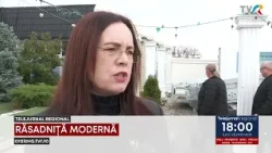 RĂSADNIȚĂ MODERNĂ