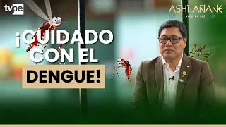 Dengue: ¿por qué el calor y las lluvias podrían aumentar los casos?
