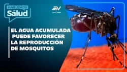 🌧️💧 When the rain stops, does the risk to your health end too? | Let's Talk About Health 🩺 | Ecua...