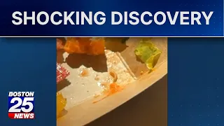 Massachusetts student finds worm-like insect in school lunch