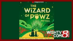 'Pet Pals TV': IndyHumane's upcoming 'Wizard of Pawz' gala