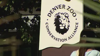 Denver Zoo adjusting hours on Sunday due to heat