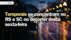 Temporais se concentram no RS e SC no decorrer desta sexta-feira | Previsão do tempo | Sul