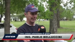 2nd Edition 10/07 How to fight sunflower diseases Pablo Belluccini pt1