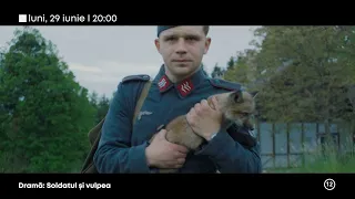 Soldatul şi vulpea - o poveste emoționantă la TVR1