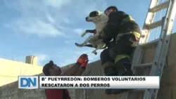 B° Pueyrredón: bomberos voluntarios rescataron a dos perros