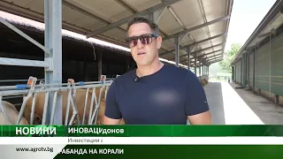Инвестиции в зелено животновъдство