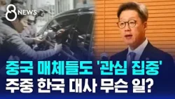 중국 매체들도 '관심 집중'…주중 한국 대사 무슨 일? / SBS 8뉴스