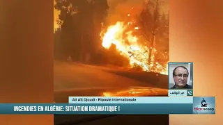 Ali Aït Djoudi : Ce pouvoir a livré le peuple à la mort à cause des incendies