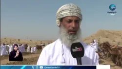 انطلاق عرضة الهجن في محافظة البريمي بمشاركة واسعة.