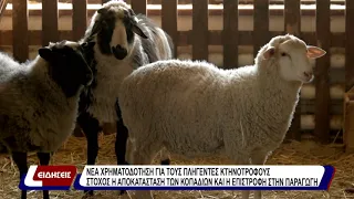 Νέα χρηματοδότηση για τους πληγέντες κνηνοτρόφους - στόχος η αποκατάσταση των κοπαδιών