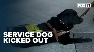 Bar/restaurant owner apologizes after barring blind man's service dog