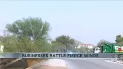 Tucson businesses battle day of fierce winds