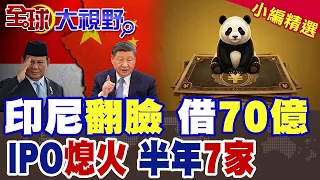 After Flipping on China, Indonesia Borrows 7 Billion Again! Panda Bonds Issued, but IPOs Stall wi...